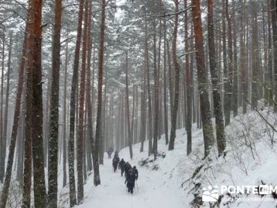 Ruta arroyo de la Chorranca; belen buitrago; todo mochilas